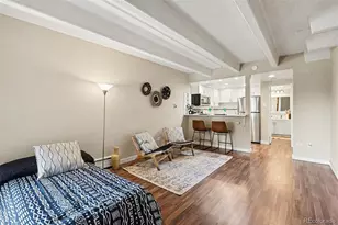 655 N Pearl St, Denver, CO 80203 - Photo 5