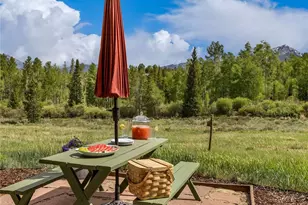1148 Royal Buffalo Dr, Silverthorne, CO 80498 - Photo 23