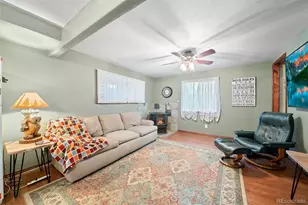 609 Gold Flake Terrace, Bailey, CO 80421 - Photo 7