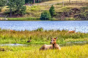 28735 Little Big Horn Dr, Evergreen, CO 80439 - Photo 47