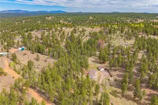 275 Mohave Creek Trail, Florissant, CO 80816 - Photo 31