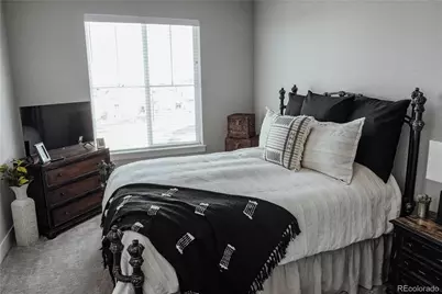 146 Kitselman Drive, Castle Rock, CO 80104 - Photo 19