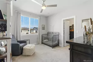 146 Kitselman Dr, Castle Rock, CO 80104 - Photo 29