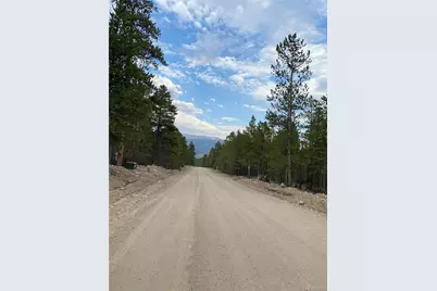 340 Peak View Drive, Twin Lakes, CO 80461 - Photo 9