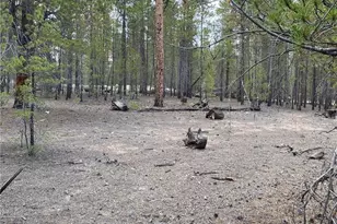 340 Peak View Dr, Twin Lakes, CO 80461 - Photo 1