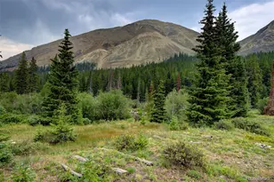9562 Co Rd 18, Fairplay, CO 80440 - Photo 33