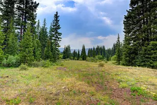 9562 Co Rd 18, Fairplay, CO 80440 - Photo 3