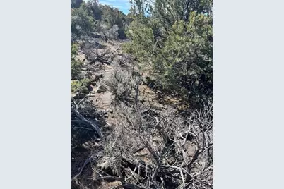 Lot 3 Ravenwood Lane, San Luis, CO 81152 - Photo 23