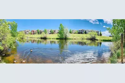 10896 Valleybrook Circle, Highlands Ranch, CO 80130 - Photo 49