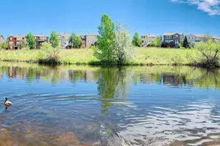 10896 Valleybrook Cir, Highlands Ranch, CO 80130 - Photo 49