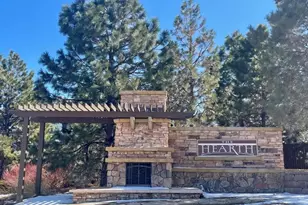 10896 Valleybrook Cir, Highlands Ranch, CO 80130 - Photo 45