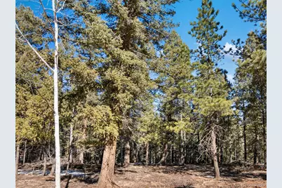 810 Ridge Road, Divide, CO 80814 - Photo 1