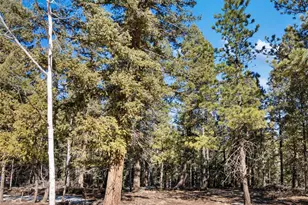 810 Ridge Rd, Divide, CO 80814 - Photo 1
