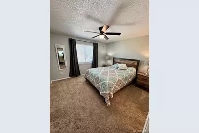 11214 Wintergreen Drive, Parker, CO 80138 - Photo 13