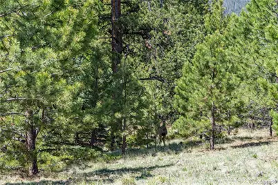 298 Steven Road, Canon City, CO 81212 - Photo 17