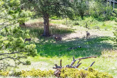 298 Steven Road, Canon City, CO 81212 - Photo 13