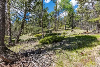 298 Steven Road, Canon City, CO 81212 - Photo 19
