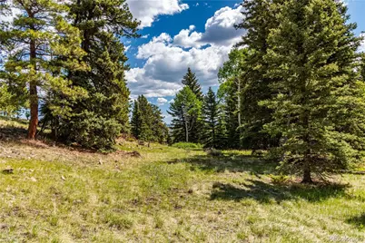 298 Steven Road, Canon City, CO 81212 - Photo 25