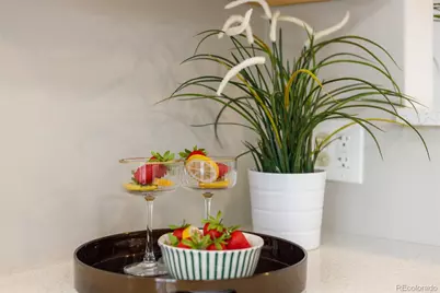 2217 S Cherry Street, Denver, CO 80222 - Photo 23