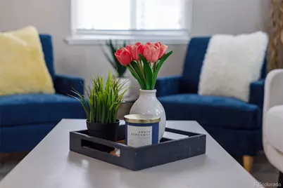 2217 S Cherry Street, Denver, CO 80222 - Photo 15