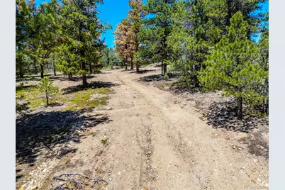719 Miners Candle Road, Idaho Springs, CO 80452 - Photo 11