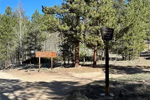 30054 Creek Run, Buena Vista, CO 81211 - Photo 47
