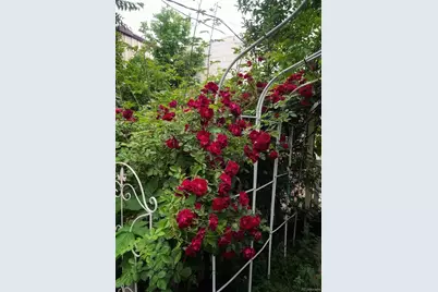 4615 S Santa Fe Drive, Englewood, CO 80110 - Photo 21