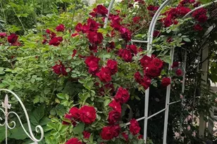 4615 S Santa Fe Dr, Englewood, CO 80110 - Photo 21