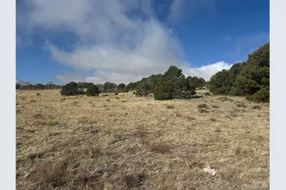 146 Cl&g, Gardner, CO 81040 - Photo 9