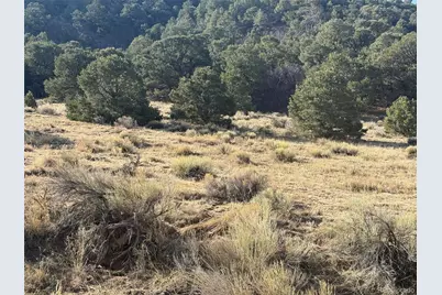 146 Cl&g, Gardner, CO 81040 - Photo 5