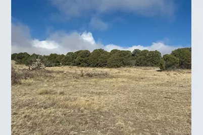 146 Cl&g, Gardner, CO 81040 - Photo 7