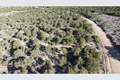 Lot 1666 Slegers Circle, Fort Garland, CO 81133 - Photo 9