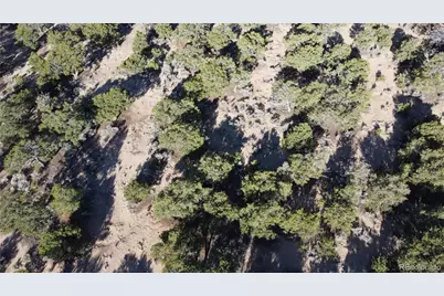 Lot 1666 Slegers Circle, Fort Garland, CO 81133 - Photo 19