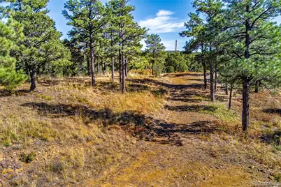 33250 Fox Trail, Trinidad, CO 81082 - Photo 9