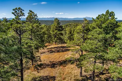 33250 Fox Trail, Trinidad, CO 81082 - Photo 13