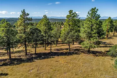 33250 Fox Trail, Trinidad, CO 81082 - Photo 15