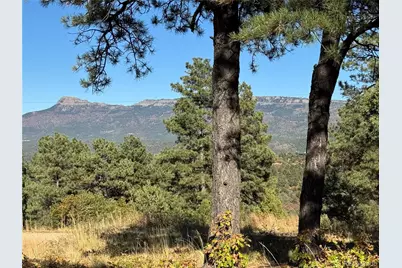 33250 Fox Trail, Trinidad, CO 81082 - Photo 5