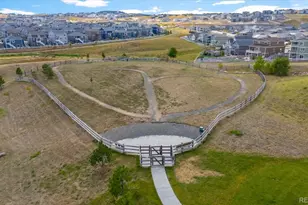 3165 Bittern St, Castle Rock, CO 80104 - Photo 43