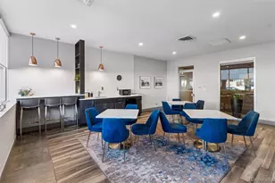 1313 N Williams St, Denver, CO 80218 - Photo 47