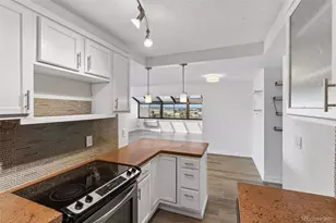 1313 N Williams St, Denver, CO 80218 - Photo 9