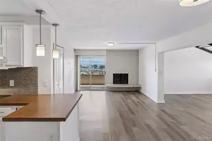 1313 N Williams St, Denver, CO 80218 - Photo 5