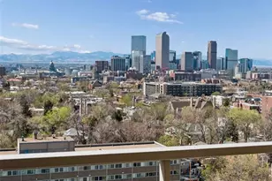 1313 N Williams St, Denver, CO 80218 - Photo 33