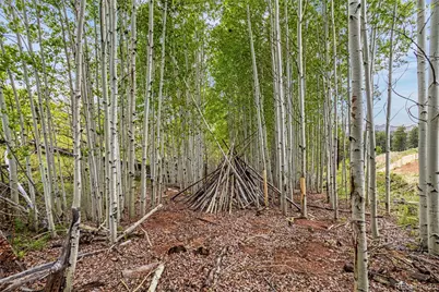 L1 B4 Columbine Circle, Woodland Park, CO 80863 - Photo 5