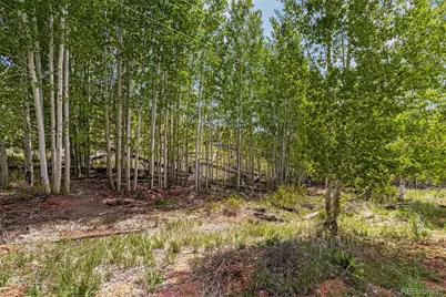 L1 B4 Columbine Circle, Woodland Park, CO 80863 - Photo 13