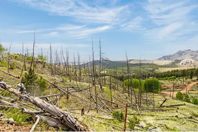 L1 B4 Columbine Circle, Woodland Park, CO 80863 - Photo 15