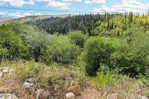 1054 Straight Creek Dr, Dillon, CO 80435 - Photo 39
