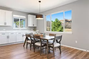 7007 Mentha Dr, Castle Rock, CO 80108 - Photo 11