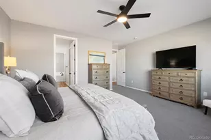 7007 Mentha Dr, Castle Rock, CO 80108 - Photo 25