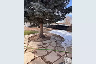 2406 Park Avenue, Alamosa, CO 81101 - Photo 31