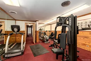 2325 S Linden Ct, Denver, CO 80222 - Photo 25